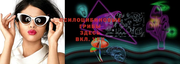 PSILOCYBIN Бугульма